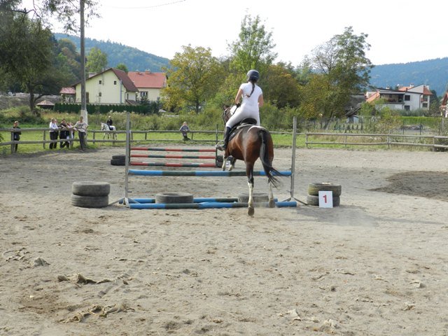 Babie Lato 2016